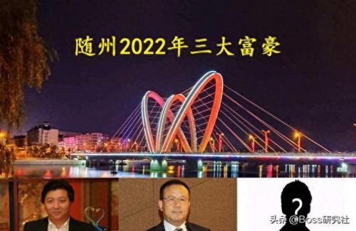 随州排名前十富豪(随州最穷的镇排名)插图1