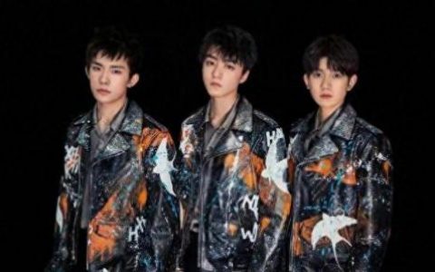 tf家族排名前十(tf家族的颜值排行)