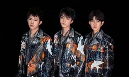 tf家族排名前十(tf家族的颜值排行)插图