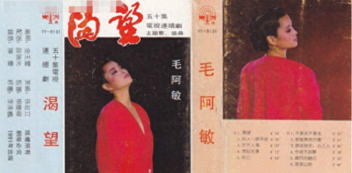 毛阿敏个人简历(毛阿敏经典歌曲)插图16