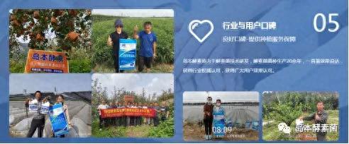 山东酵素排名前十(山东龙城酵素)插图7