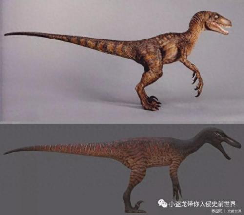 wow化石迅猛龙(魔兽世界白色的迅猛龙)插图5