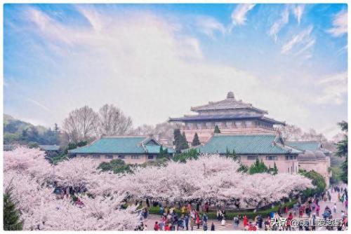 中国城市最高山峰排名前十(最高的十座山峰城市)插图6
