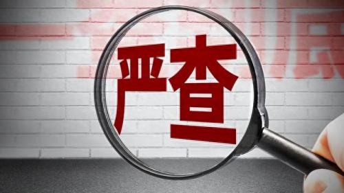 金秋芬(出狱后的金秋芬)插图7