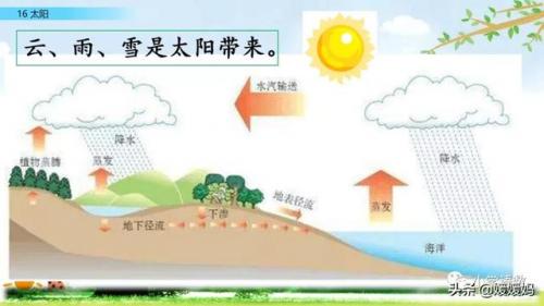 信服的近义词是什么(信服的意思)插图52