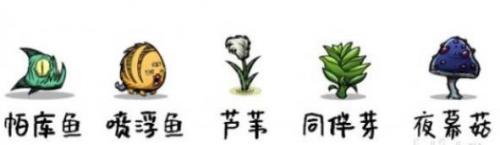 缺氧菌泥群系特点介绍(缺氧的四种表现)插图2