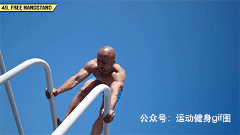 健身大神排名前十(健身大神谁厉害)插图48