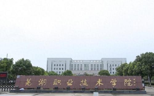 芜湖大专排名前十(芜湖十大最差中学)插图1