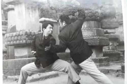 奇葩武术流派排名前十(全球武术流派排行榜)插图3