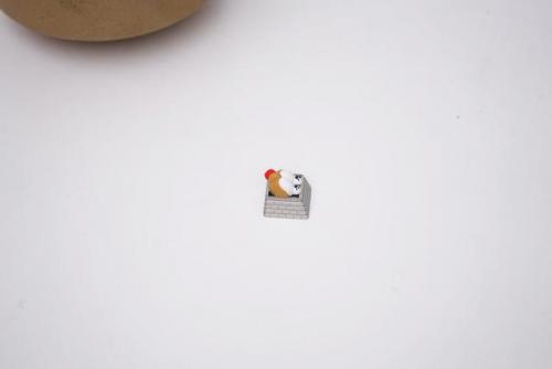 肉蒲是什么意思(节菖蒲和石菖蒲功效上的区别)插图5