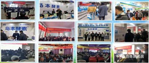 山东酵素排名前十(山东龙城酵素)插图4