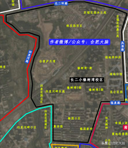 杏林小学排名前十(杏林最好小学排名)插图4