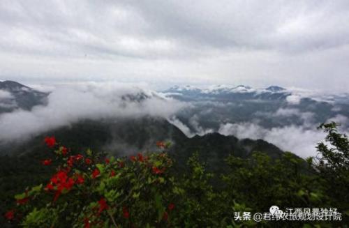 崇义特产排名前十(崇义旅游景点大全)插图4