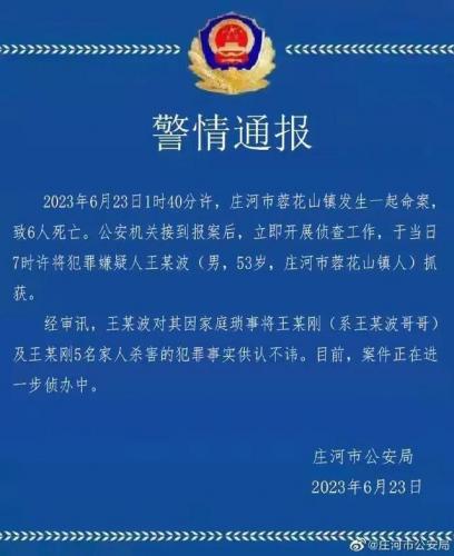 杀了你的达令(达令电影)插图4
