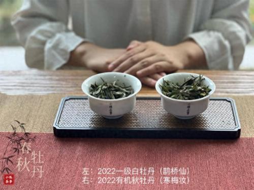 白茶品类排名前十(白茶品牌排名前十名)插图18