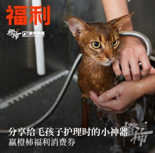 临安漂流排名前十(临安现在有几处漂流)插图12