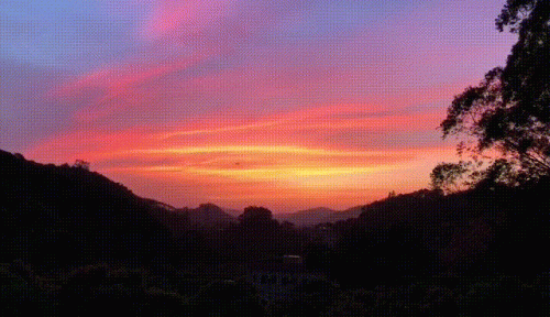 黄昏晓链接(黄昏晓发行日期)插图2
