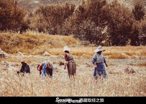 宜昌跑车排名前十(宜昌红色跑车)插图79