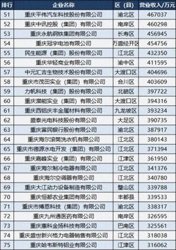 重庆民营工程公司排名前十(重庆公司十大排名)插图4