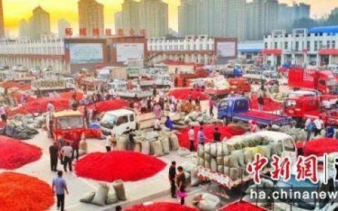 河南省柘城县把什么作为(柘城县有多少个企业)