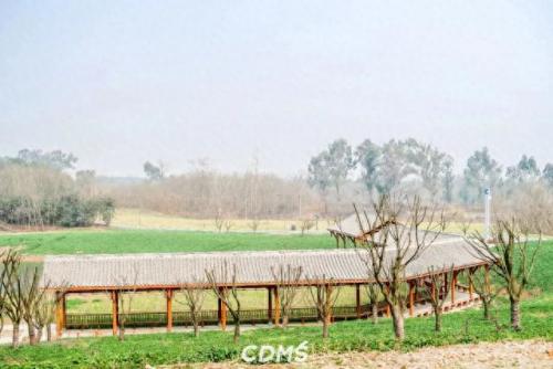 成都十陵镇小吃排名前十(成都十大排名小吃)插图64