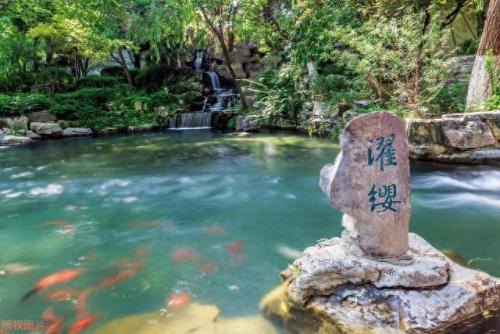 森林公园覆盖率排名前十(遵义森林覆盖率)插图4