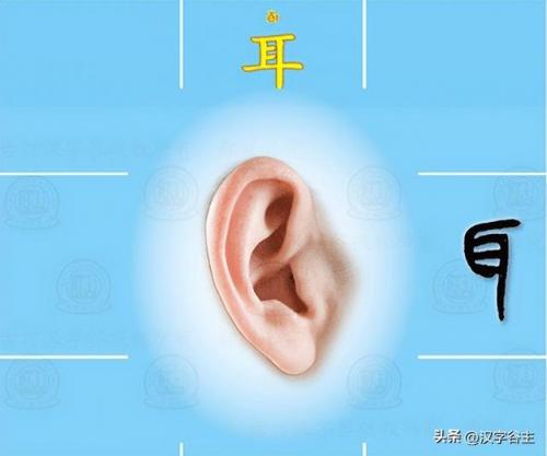 望其项背的近义词(望其项背什么意思)插图22