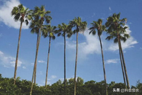 造物者之座(造物者小说讲了什么)插图4