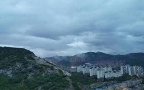 雨后的故事图片(雨中的小故事是什么梗)