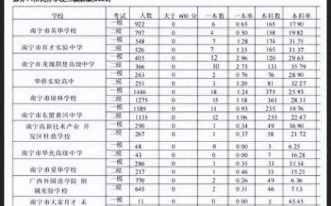 南宁前十民办小学排名榜(南宁十大小学)