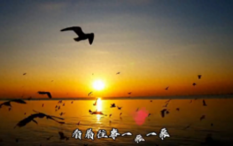 手放开链接(伤感图片手放开)