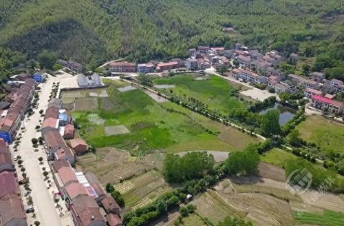 内蒙古优质竹地板排名前十(山友竹地板室内价格表)插图8