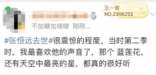 张恒远 蓝莲花(张恒远夜空中最亮的星)插图7