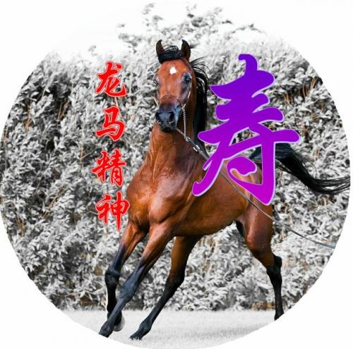 百家姓qq头像(百家姓头像大全真实图)插图80
