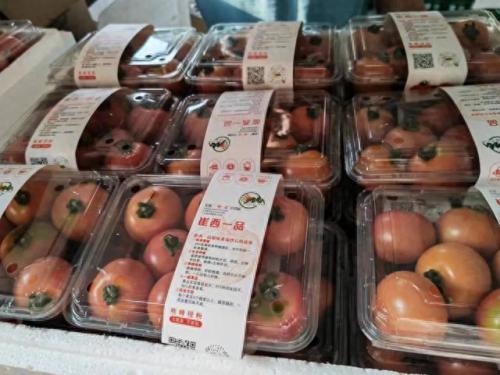 大棚数量排名前十(全国大棚分布图)插图2