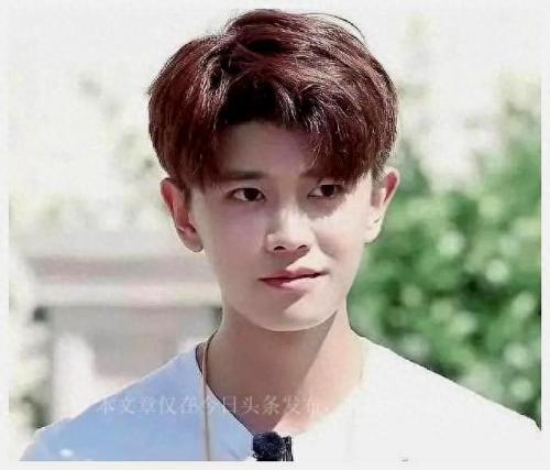 文体两开花什么梗(文体两开花下一句)插图7