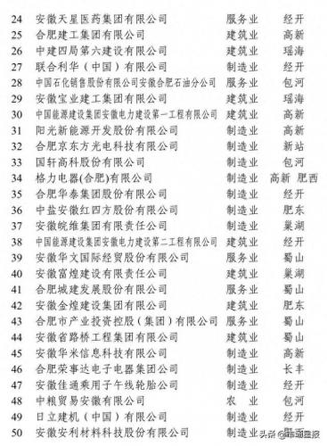 合肥前十企业排名(合肥前十强企业)插图1