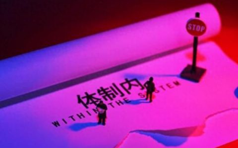 个体职业排名前十(职业序列排名)