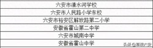 六安初中国际机构排名前十(六安初中国际班哪家好)插图2