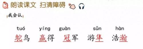 奔的多音字组词(奔多音字怎么区分)插图7