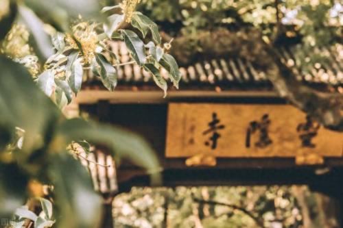 杭州十大寺庙排名前十(杭州十大寺庙排名)插图2