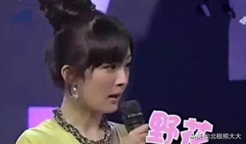 杨野花(农村各种野草)插图9