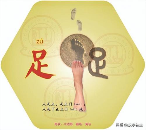 望其项背的近义词(望其项背什么意思)插图9