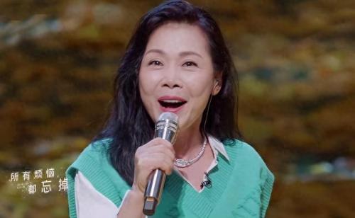 中国前偶像歌手排名前十(中国大陆最新歌手排名前十)插图28