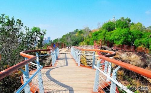 惠州好玩街区排名前十(惠州33号青年街区)插图48