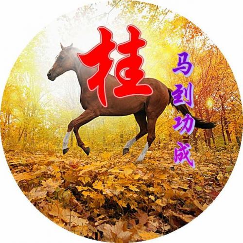 百家姓qq头像(百家姓头像大全真实图)插图77