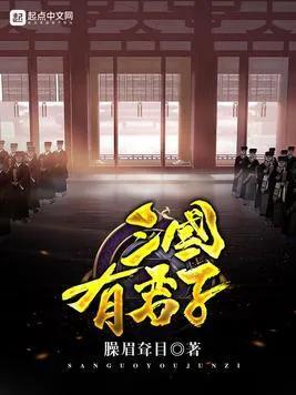三国之宏图霸业(三国宏图霸业小说)插图5