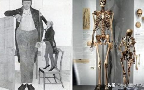 巨人传奇(巨人传奇电影)