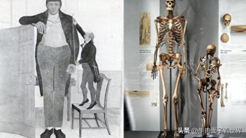 巨人传奇(巨人传奇电影)插图