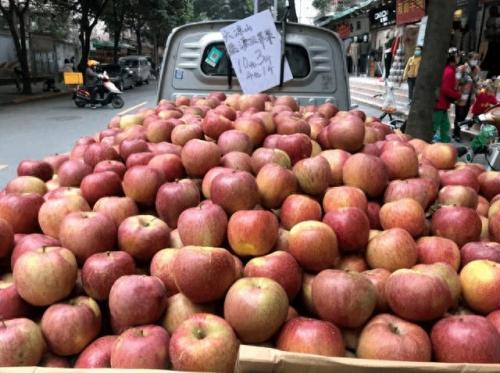 泸沽湖特产排名前十(泸沽湖哪些特产正宗)插图18